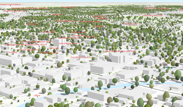 3D scene showing Basic Local Government scene with the World Topographic Map draped over detailed elevation along with buildings and trees
