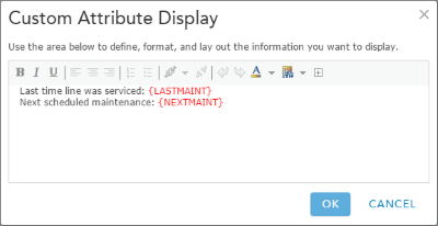 Custom Attribute Display configuration window for maintenance areas layer